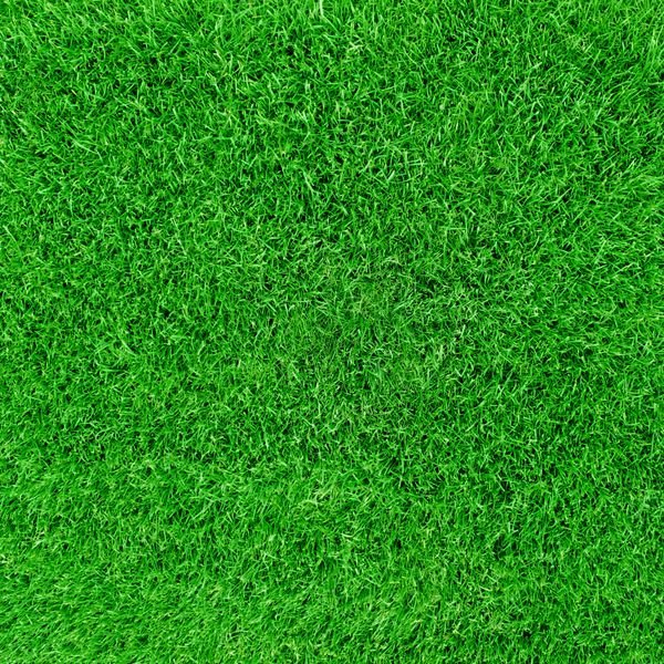  عکس زمین فوتبال با بازیکنان