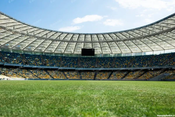 عکس زمین چمن طبیعی