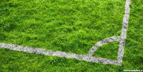  عکس توپ فوتبال در چمن