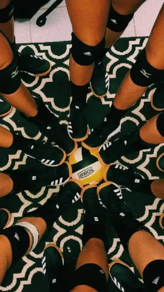  عکس والیبال برای پروفایل