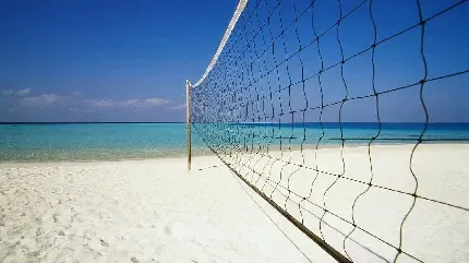  عکس والیبال برای پروفایل