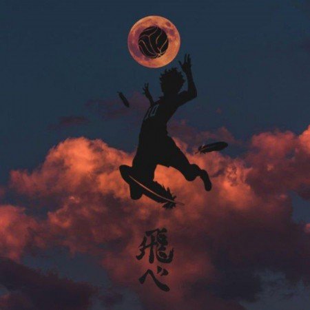  عکس والیبال برای پروفایل پسرانه