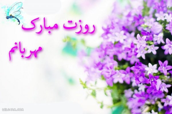 عکس روز مرد مبارک