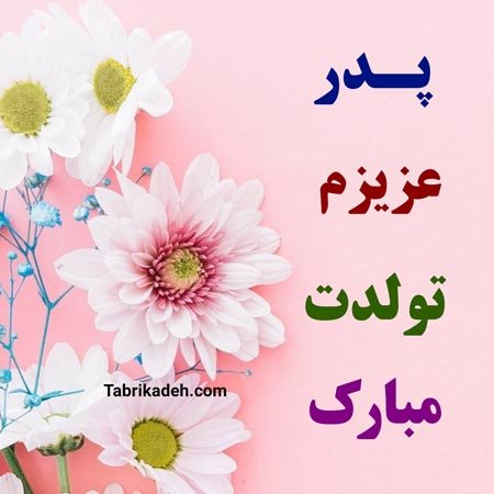  استوری تبریک تولد پدر از طرف دختر