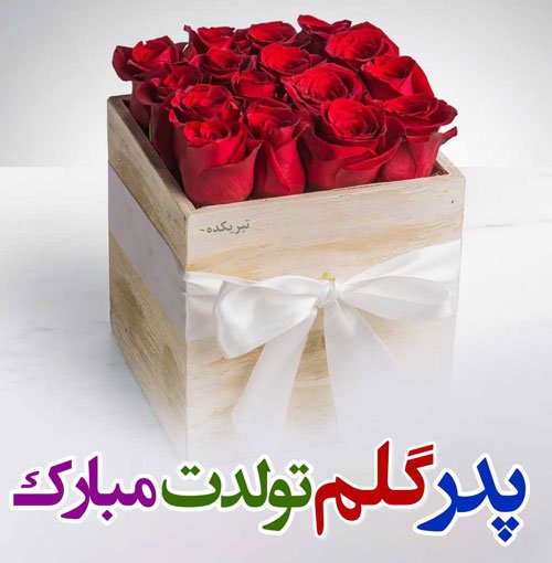  استوری تبریک تولد پدر از طرف دختر