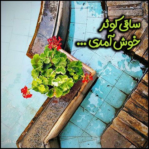  عکس تبریک ولادت حضرت علی و روز پدر