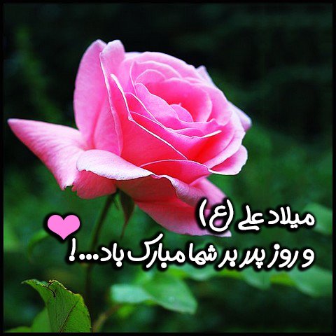  عکس تبریک ولادت حضرت علی و روز پدر