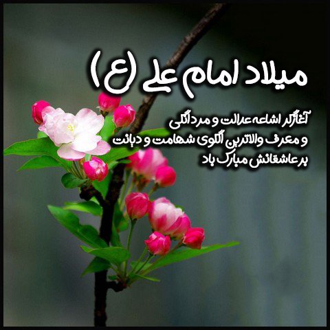  عکس تبریک ولادت حضرت علی و روز پدر