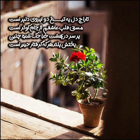  عکس تبریک ولادت حضرت علی و روز پدر