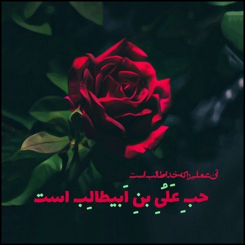  عکس ولادت حضرت علی