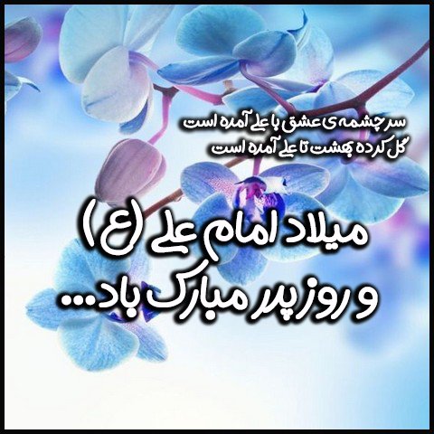  عکس ولادت حضرت علی
