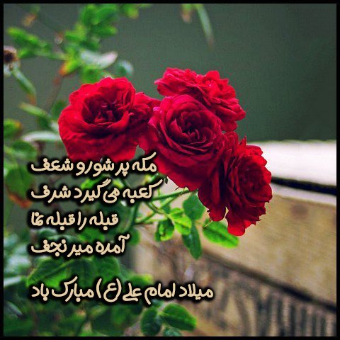 عکس ولادت حضرت علی