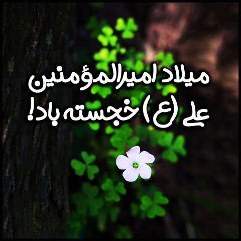  عکس ولادت حضرت علی