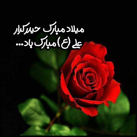  عکس ولادت حضرت علی