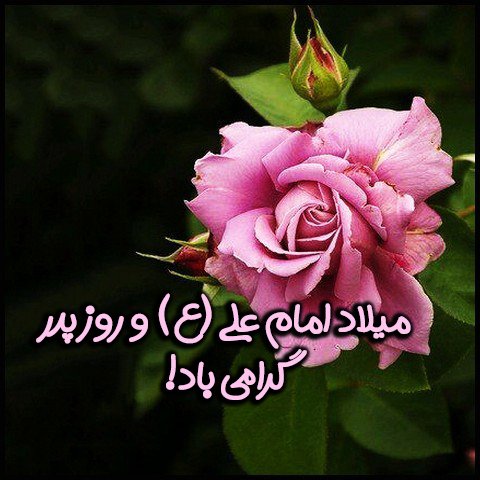  عکس ولادت حضرت علی