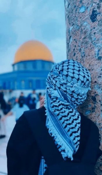  عکس امام علی برای تصویر زمینه