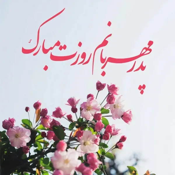 عکس میلاد امام علی