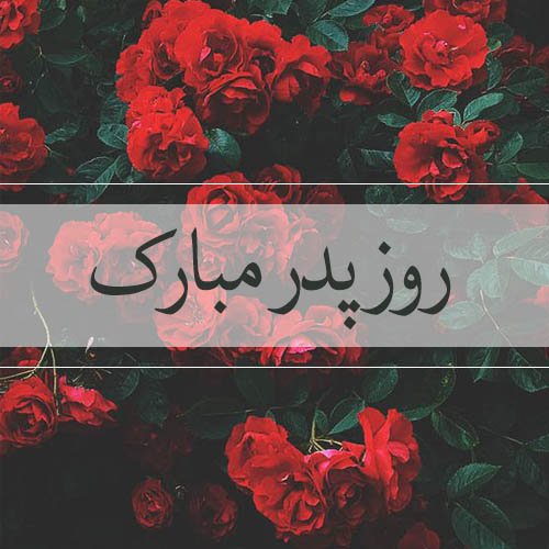  عکس زیبا برای تبریک روز پدر