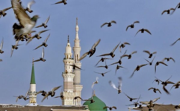  عکس مسجد پیامبر