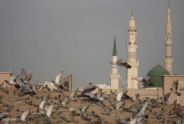  عکس مسجد النبی با کیفیت بالا