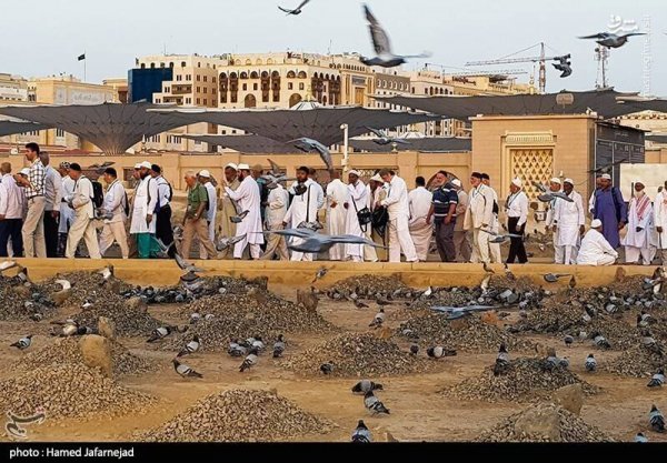  عکس مسجد النبی و قبرستان بقیع