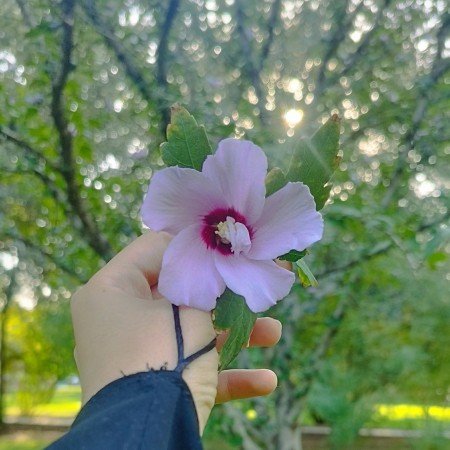  عکس پروفایل مذهبی دخترانه چادری