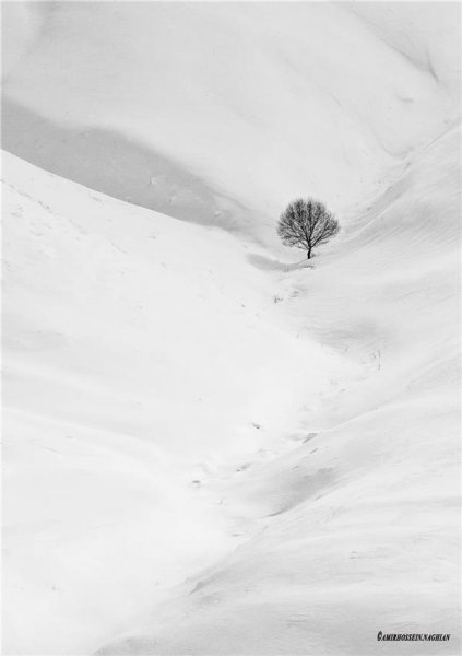  عکس مینیمال