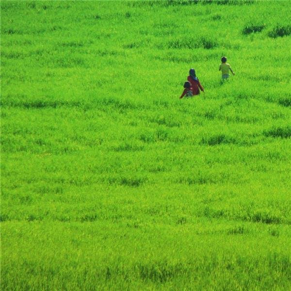  عکس مینیمال