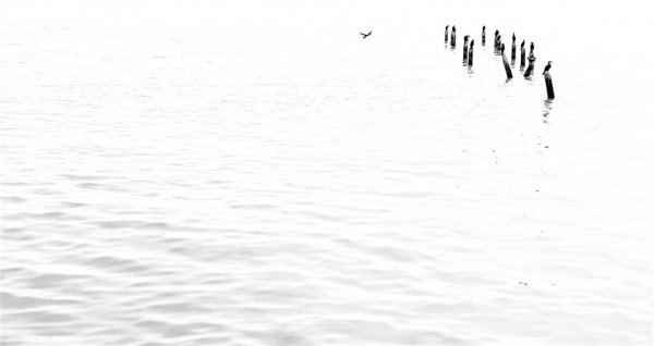  عکس مینیمال