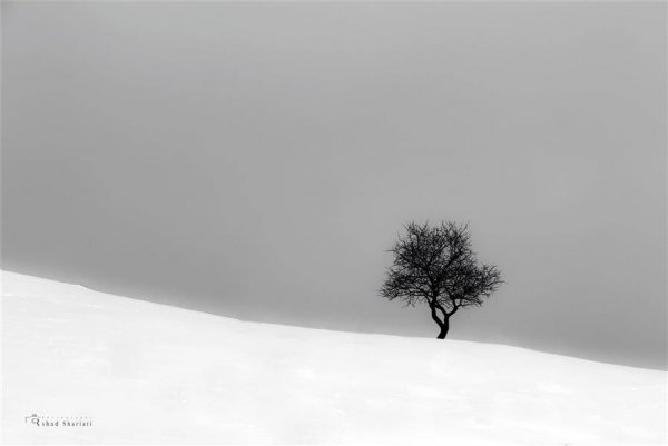  عکس مینیمال