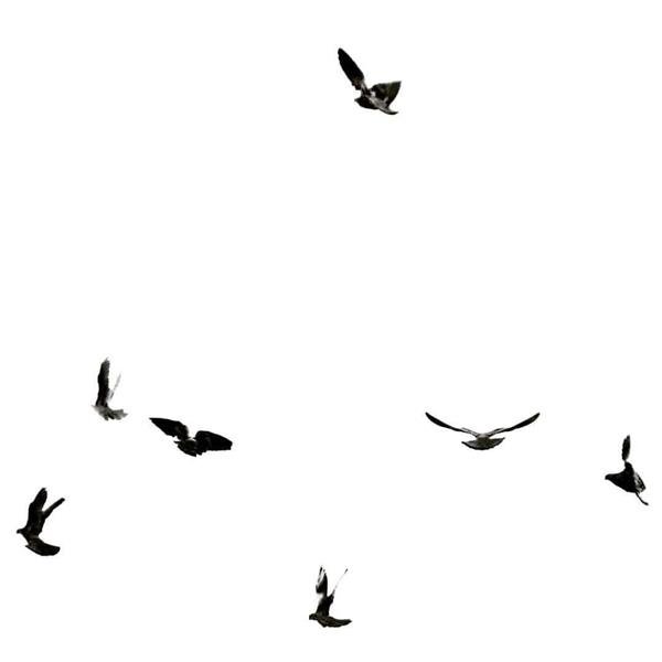  عکس مینیمال