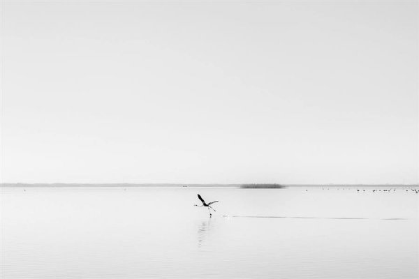  عکس مینیمال