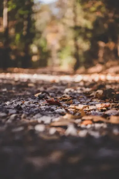  عکس های مینیمال برای تابلو