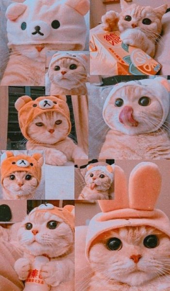  عکس صفحه گوشی دخترانه لاکچری