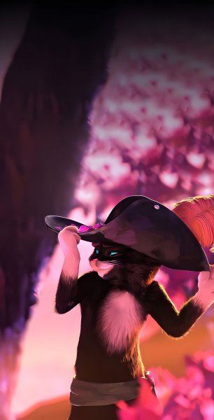 ست تصویر زمینه گوشی