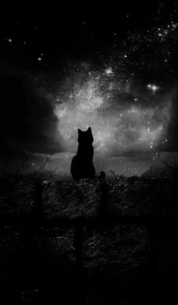  عکس پس زمینه غمگین بدون متن