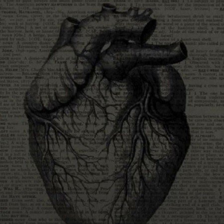  عکس قلب سیاه واقعی