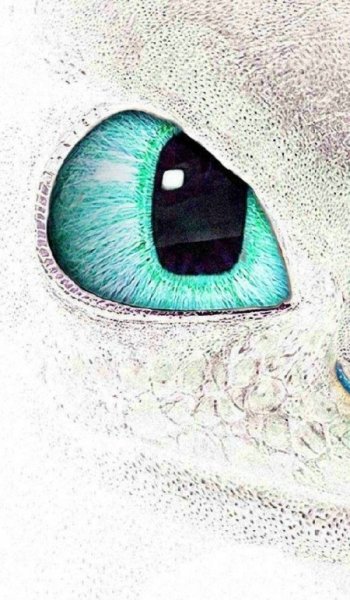  عکس قلب سیاه واقعی