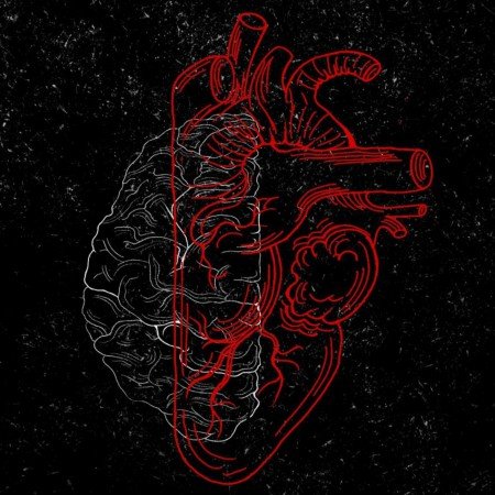  عکس قلب سیاه واقعی