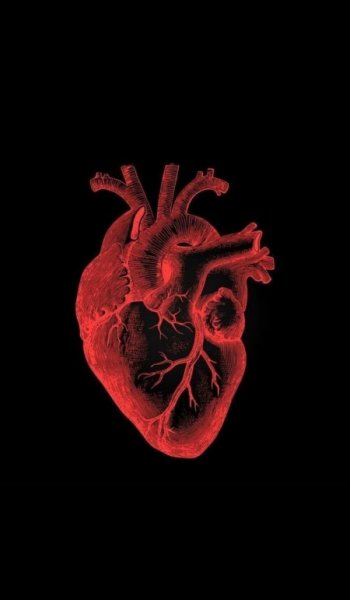 عکس قلب واقعی برای پروفایل
