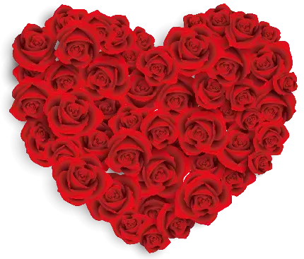  عکس قلب قرمز خوشگل