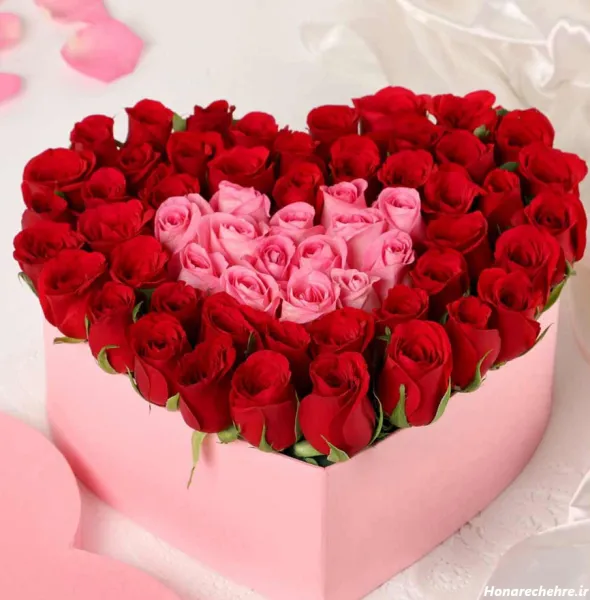  عکس قلب قرمز خوشگل