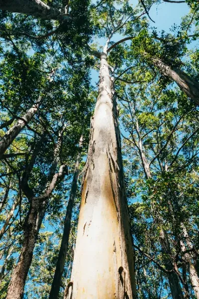  عکس قلب قرمز خوشگل