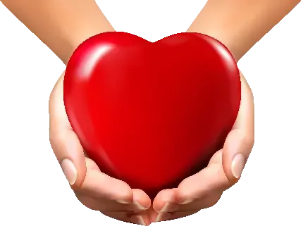  عکس قلب قرمز خوشگل