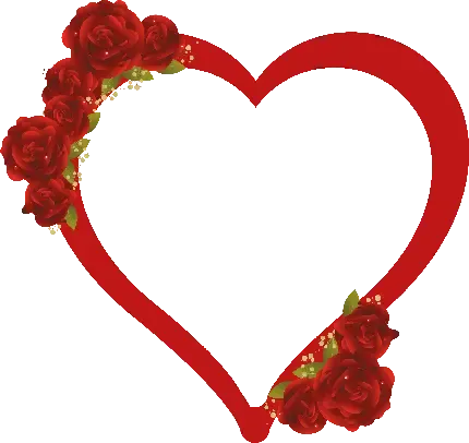  عکس قلب قرمز خوشگل
