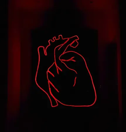  عکس قلب عاشقانه دونفره