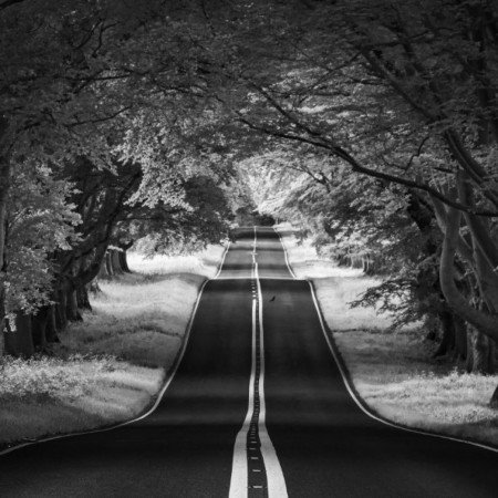  عکس قلب سیاه برای پروفایل