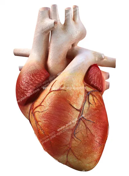  پروفایل عکس قلب شکسته واقعی