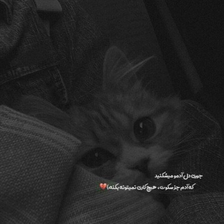  عکس پروفایل دل شکسته تنهایی