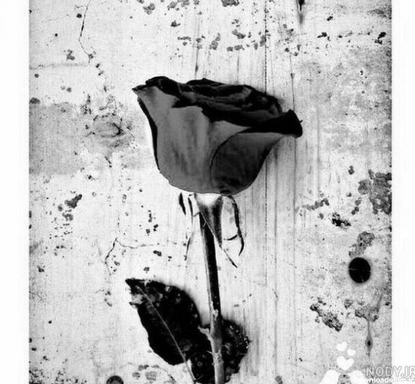  عکس قلب سیاه شکسته